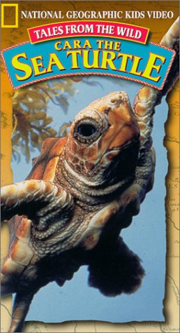 Tales From the Wild: Cara the Sea Turtle (National Geographic Kids)