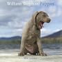 William Wegman Puppies 2006 Wall Calendar