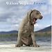 Puppies 2006 (Wall Calendar)