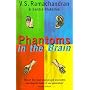 Phantoms in the Brain: Human Nature and the Architecture of the Mind