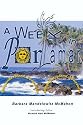 A Week in Porlamar, Margarita Island, Venezuela
