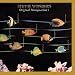 Stevie Wonder's Original Musiquarium I
