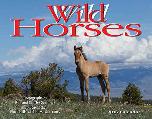 Wild Horses 2016 Calendar 11x14