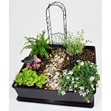 Fairy Garden Kit with Fairy Dust, Garden Box, Birdbath, Arbor, Wheelbarrow and Path Stones