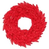 Pack of 2 Pre-Lit Red Ashley Spruce Christmas Wreaths 24