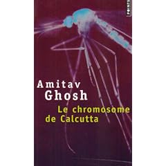 Le chromosome de Calcutta