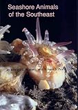 Seashore Animals of the South-east