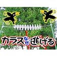 ���i�̏ڍ�