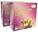 Mini Indoor / Outdoor Lights 80bulb - Clear / White (7543)