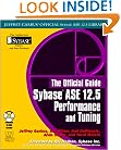 The Official Guide: Sybase ASE 12.5 Performance and  Tuning (Jeffrey Garbus' Official Sybase ASE 12.5 Library)