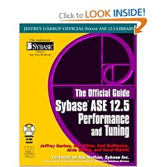 The Official Guide: Sybase ASE 12.5 Performance and  Tuning (Jeffrey Garbus' Official Sybase Ase 12.5 Library)