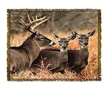 Buck With Doe Tapestry Throw Blanket