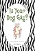 Is Your Dog Gay?