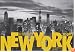 New York: 365 Days