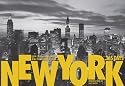 New York: 365 Days