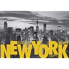New York: 365 Days by The New York Times, Gay Talese, and James Barron