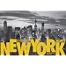 New York: 365 Days