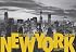 New York: 365 Days