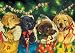 Advent Calendar - Puppies