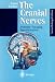 The Cranial Nerves: Anatomy - Imaging - Vascularisation