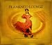 Flamenco Lounge