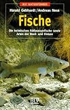BLV Taschenb&uuml;cher, Fische - Harald Gebhardt, Andreas Ness