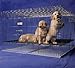 Precision Pet 1310-CPP3624-1 Chrome Puppy Pen 36 x 24 x 30 Inch - 1 Floor Grid