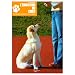 L'�ducation du chien