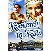 Kashmir Ki Kali