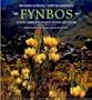 Fynbos: South Africa's Unique Floral Kingdom