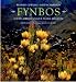 Books : Fynbos: South Africa's Unique Floral Kingdom