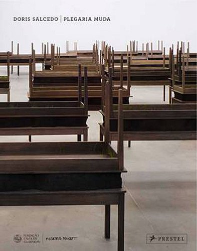 Doris Salcedo: Plegaria Muda