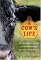 A Cow's Life: The Surprising History of Cattle, and How the Black Angus Came to Be Home on the Range