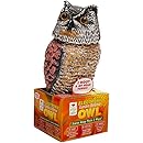 Amazon.com : Easy Gardener 8021 Garden Defense Electronic Sensor Owl