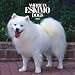 American Eskimo Dogs 2007 Calendar