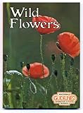 Wild flowers