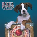 Boxer Puppies 2007 Calendar