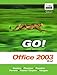 Microsoft Windows XP Getting Started (Go)