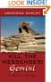 Kill the Messenger: Gemini: A Small Novel