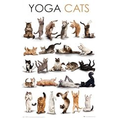 1art1 50190 Katzen - Yoga, Katzenbuckel Poster (91 x 61 cm)
