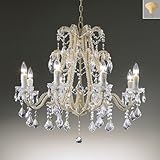 ENDO�V�����f���A