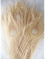 Art and Craft Supply: Bleached Ivory Peacock, Long Stem, Medium to Large Eyes, Per 10 - Lamplight Feather, Inc.