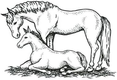 Mounted Rubber Mare & Colt Stamp [Set of 3]