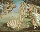The Birth of Venus by Sandro Botticelli poster print,20 in. x 16 in.