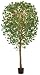 Buy Lighting - GKI Bethlehem Lighting LED 7-Foot Gingko Tree with 70 Warm White Frosted LED Lights