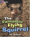 The Fantastic Flying Squirrel (Collins Big Cat)