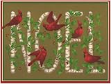 Review Caspari 77213 / Caspari Box of 20 5-1/4 by 6-3/4 Holiday Notecards, NOEL