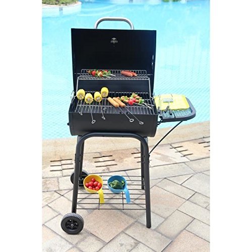 barbecue charbon chariot 45 x 23.5cm