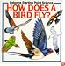 How Does a Bird Fly? (Starting Point Science Series)