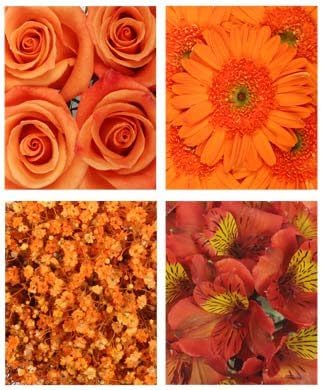 Monochromatic Orange Flowers (Gerberas, Roses, Alstroemeria and Babys Breath)